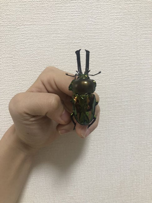 写真協力:篠原かをり