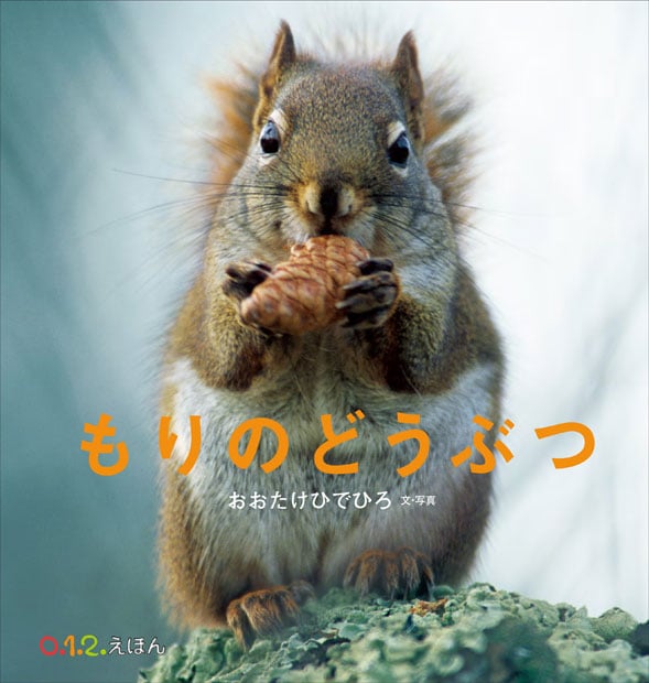 写真絵本『もりのどうぶつ』