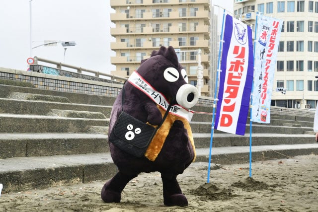 写真協力:NPO法人「海さくら」