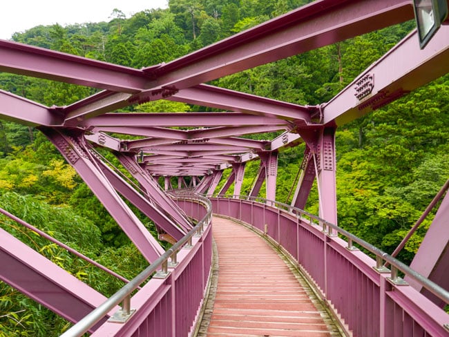 写真協力：吉田友和