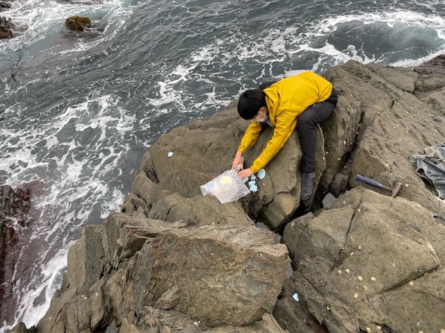 写真提供:中島保寿