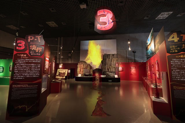 写真協力：国立科学博物館