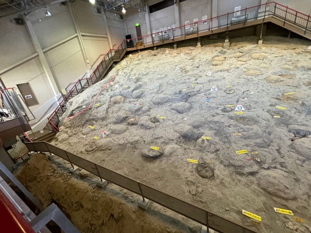 いわき市アンモナイトセンター