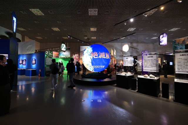 写真協力：国立科学博物館