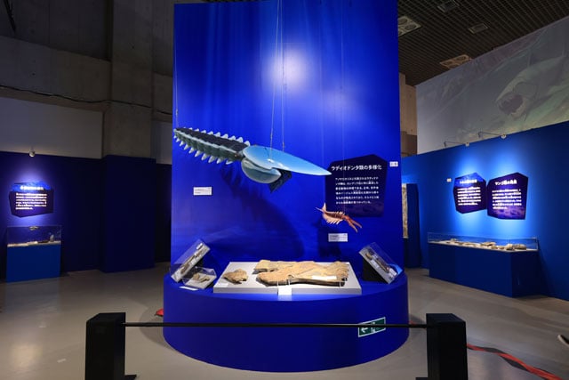 写真協力：国立科学博物館