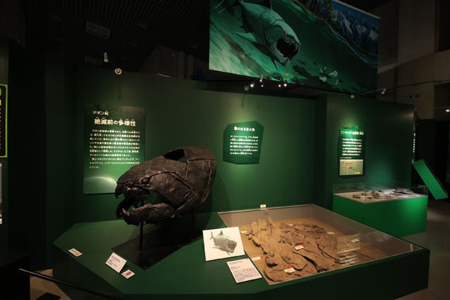 写真協力：国立科学博物館