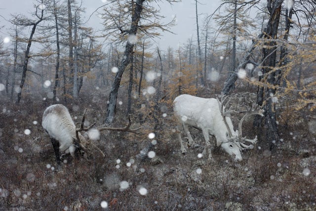 写真：竹沢うるま