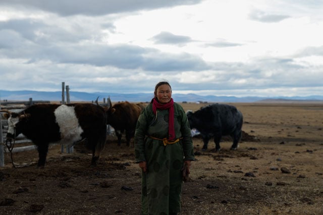 写真：竹沢うるま