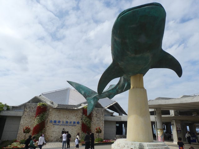 写真協力：泉 貴人