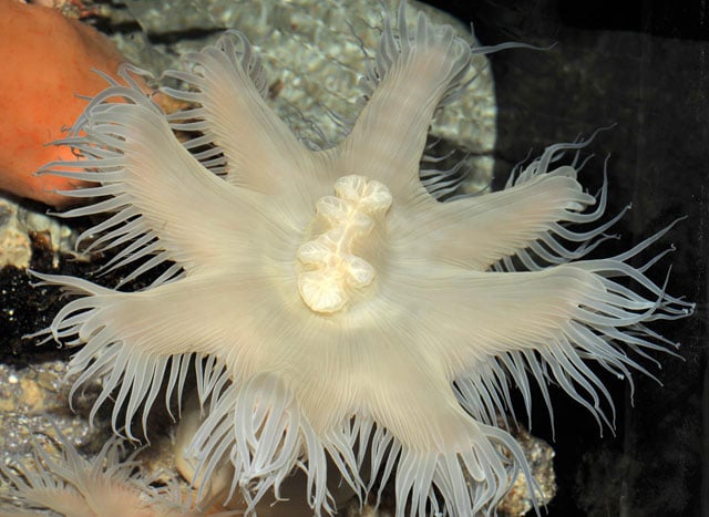 写真協力：泉 貴人