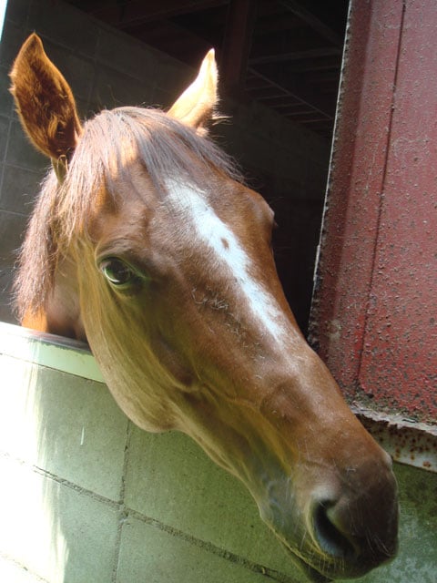 写真協力：瀧本彩加