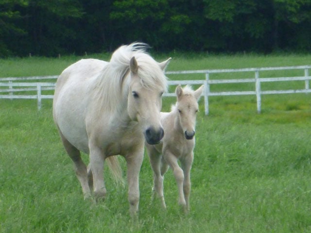 写真協力：瀧本彩加