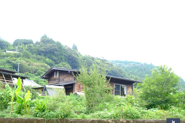 写真協力：服部雄一郎