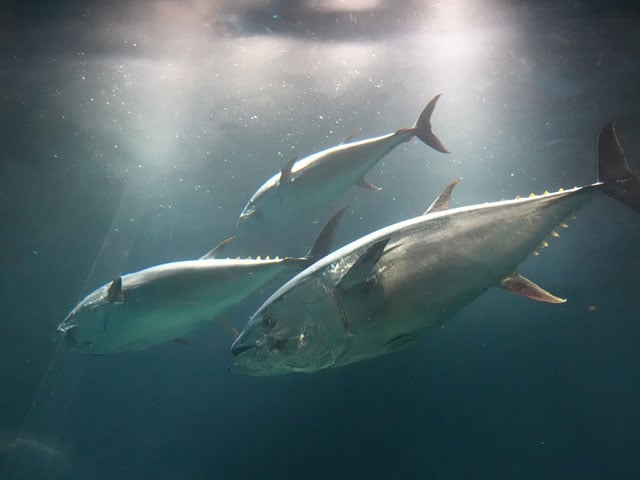 写真協力：泉 貴人