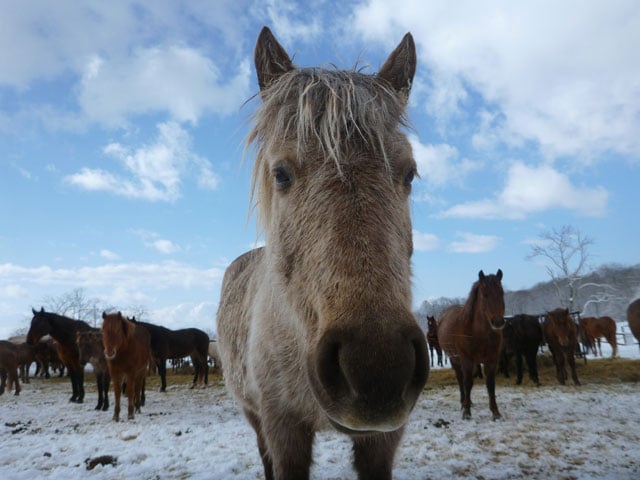 写真協力：瀧本彩加