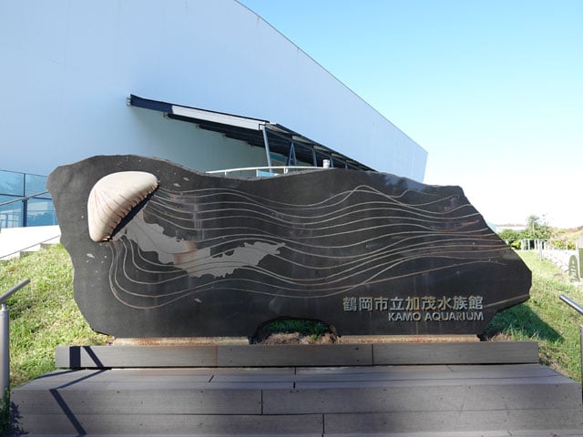 写真協力：泉 貴人