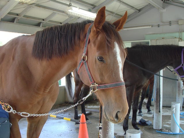 写真協力：瀧本彩加