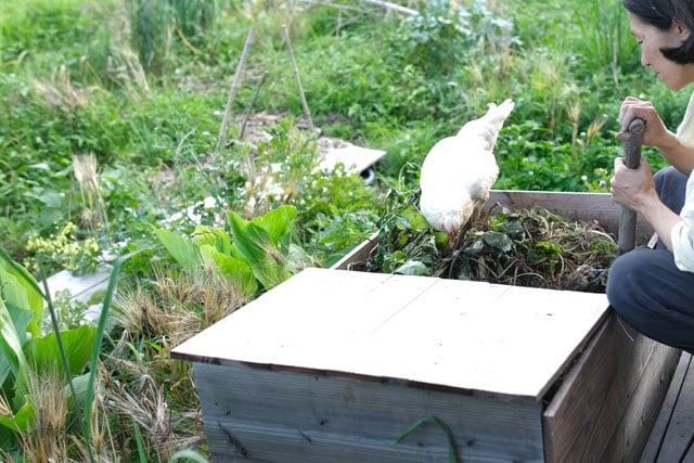 写真協力：服部雄一郎