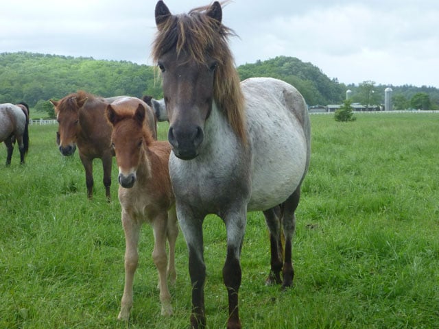 写真協力：瀧本彩加