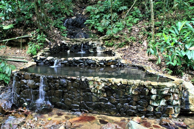 写真：鈴木浩大