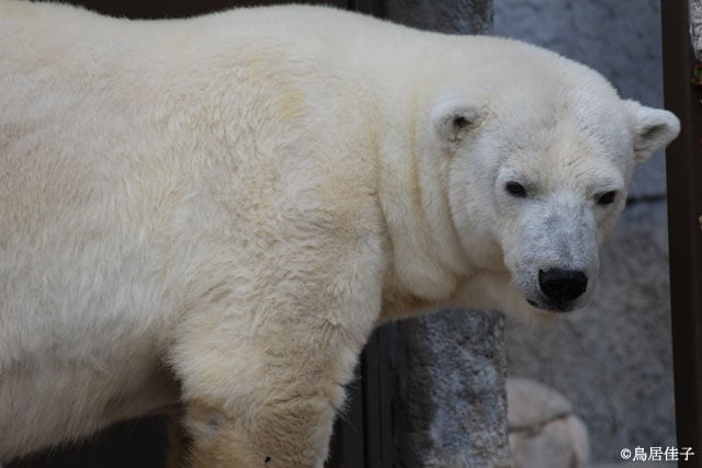 写真協力:実業之日本社