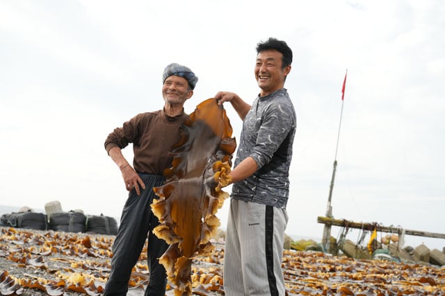 写真協力:KOBUSTAY合同会社