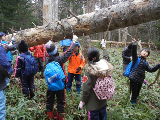 写真協力：オホーツク音楽工房