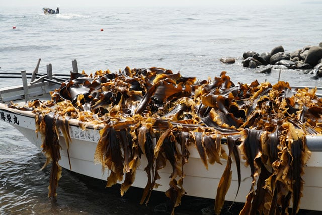 写真協力:KOBUSTAY合同会社