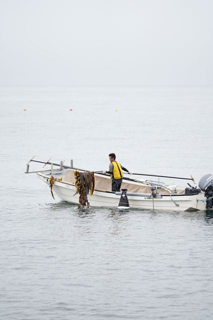 写真協力:KOBUSTAY合同会社