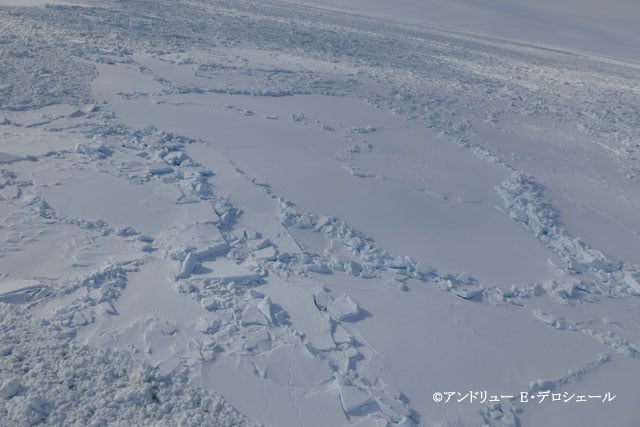 写真協力:実業之日本社
