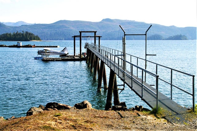 写真：鈴木浩大