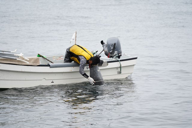 写真協力:KOBUSTAY合同会社