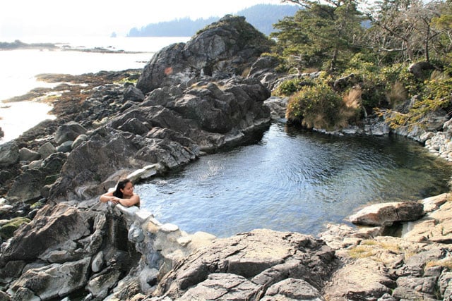 写真：鈴木浩大