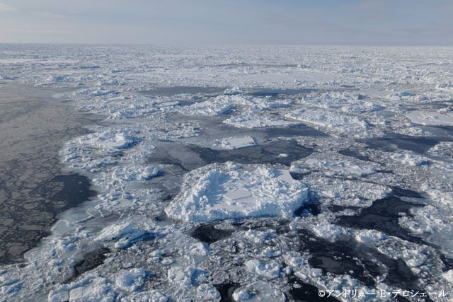 写真協力:実業之日本社