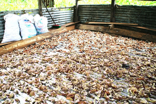 写真：鈴木浩大