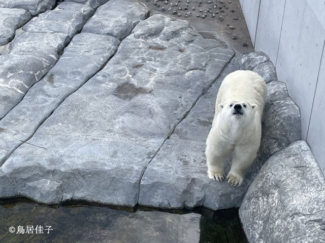 写真協力:実業之日本社