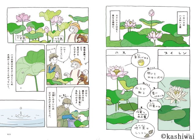 協力：グラフィックス社