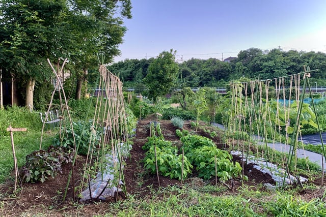 写真協力：アンドファームユギ