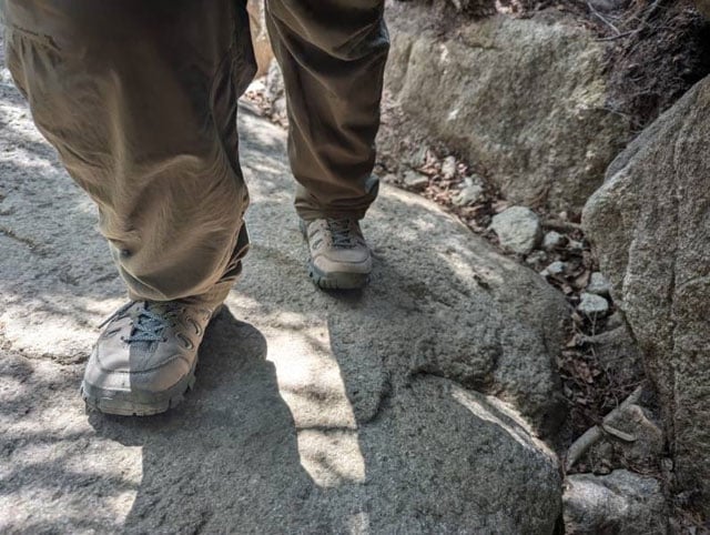 写真協力：鈴木みき