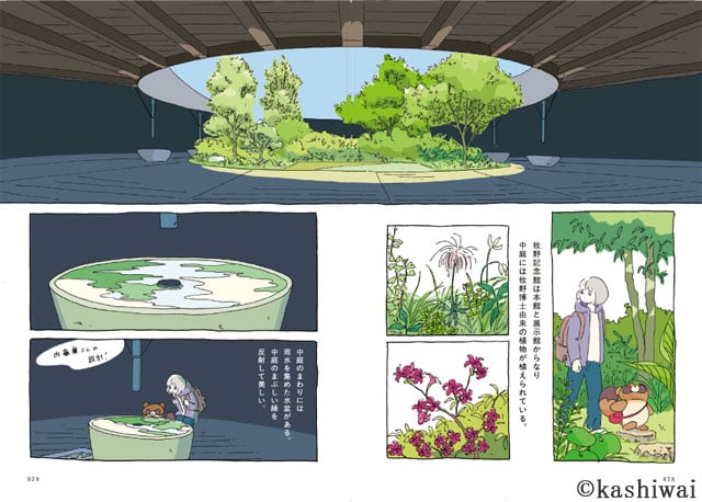 協力：グラフィックス社