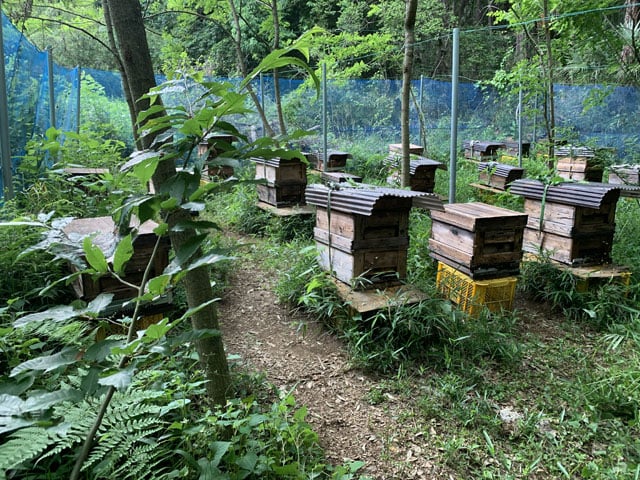 写真協力：アンドファームユギ