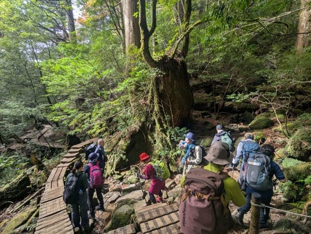 写真協力：鈴木みき