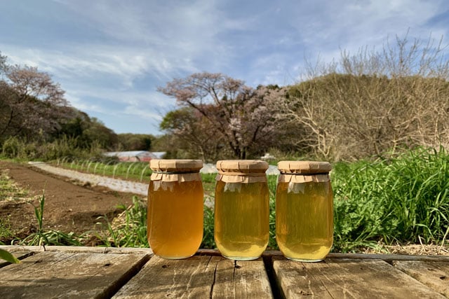 写真協力：アンドファームユギ