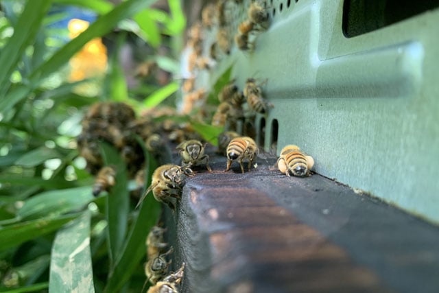 写真協力：アンドファームユギ