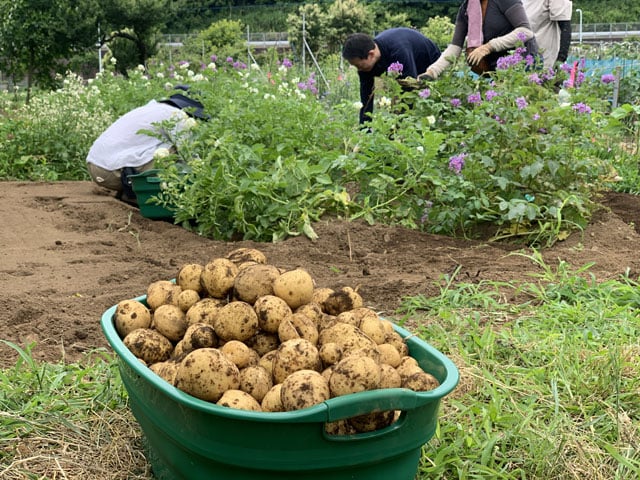 写真協力：アンドファームユギ