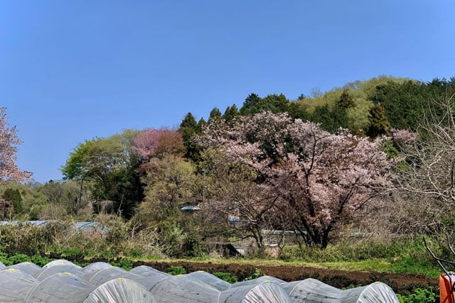 写真協力：アンドファームユギ