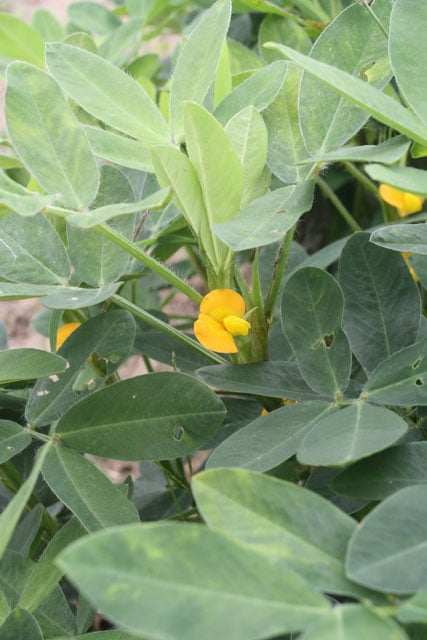 写真協力：岩槻秀明