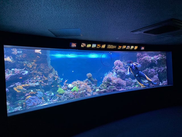 写真協力：サンシャイン水族館