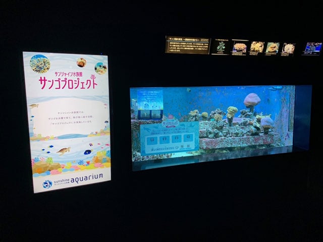写真協力：サンシャイン水族館