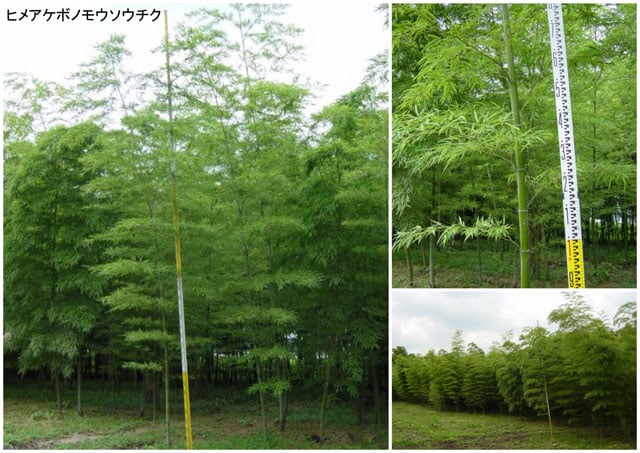 写真協力：ワカヤマファーム